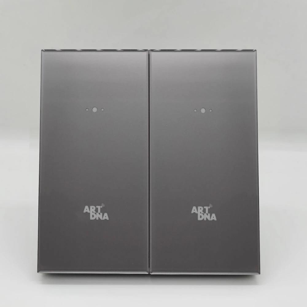 Artdna New Product Zigbee WiFi 2 Gang Frame Switch